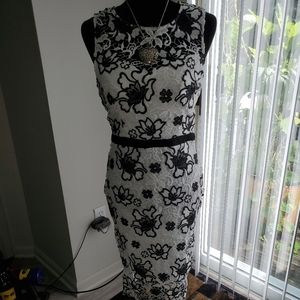 Cute dresse, good for any occasion